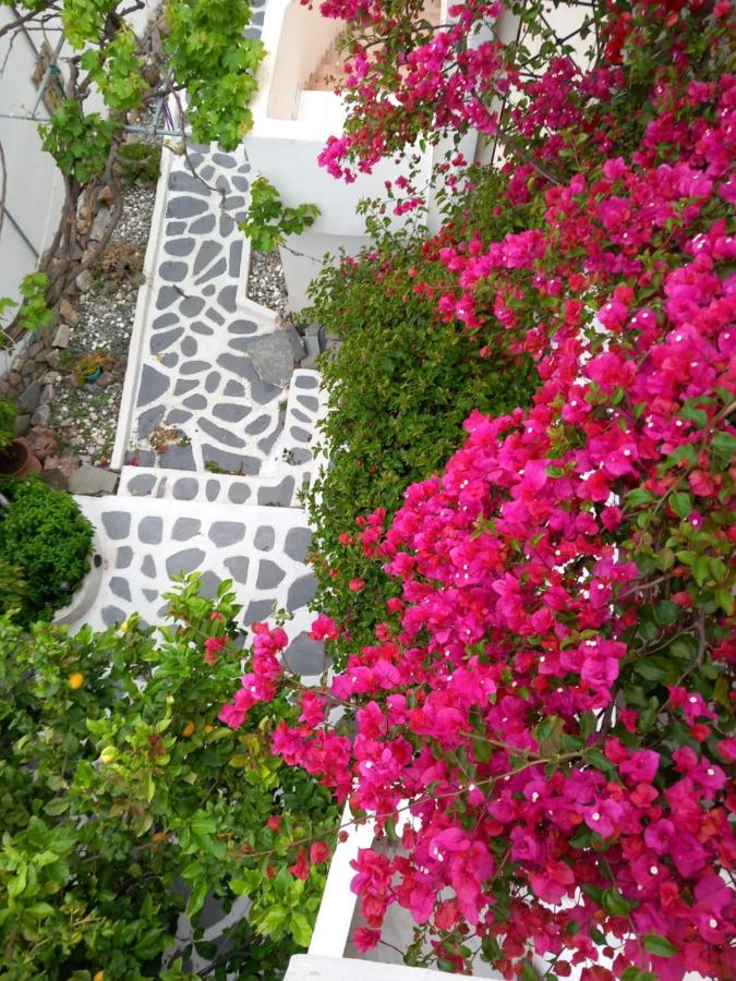 Studio In Garden Poros Town Bagian luar foto