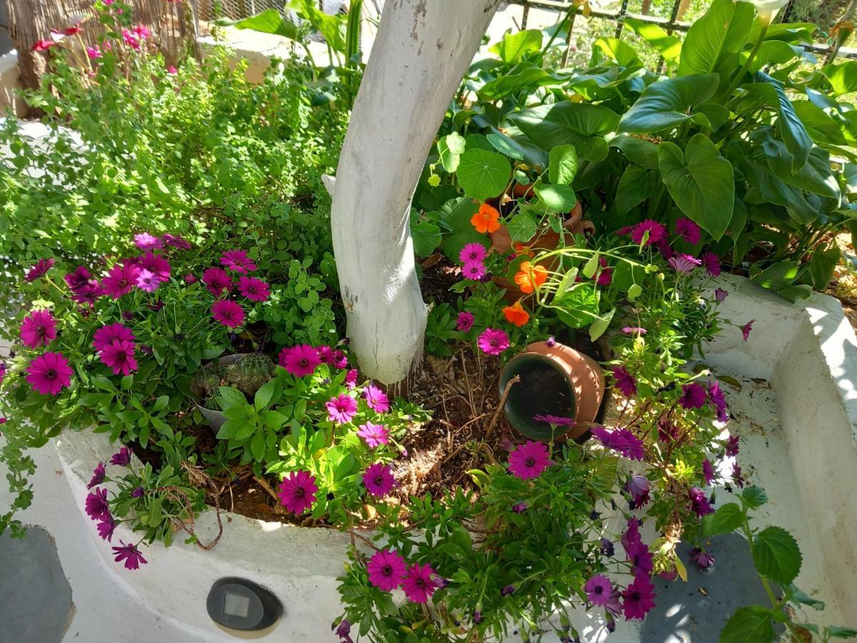 Studio In Garden Poros Town Bagian luar foto
